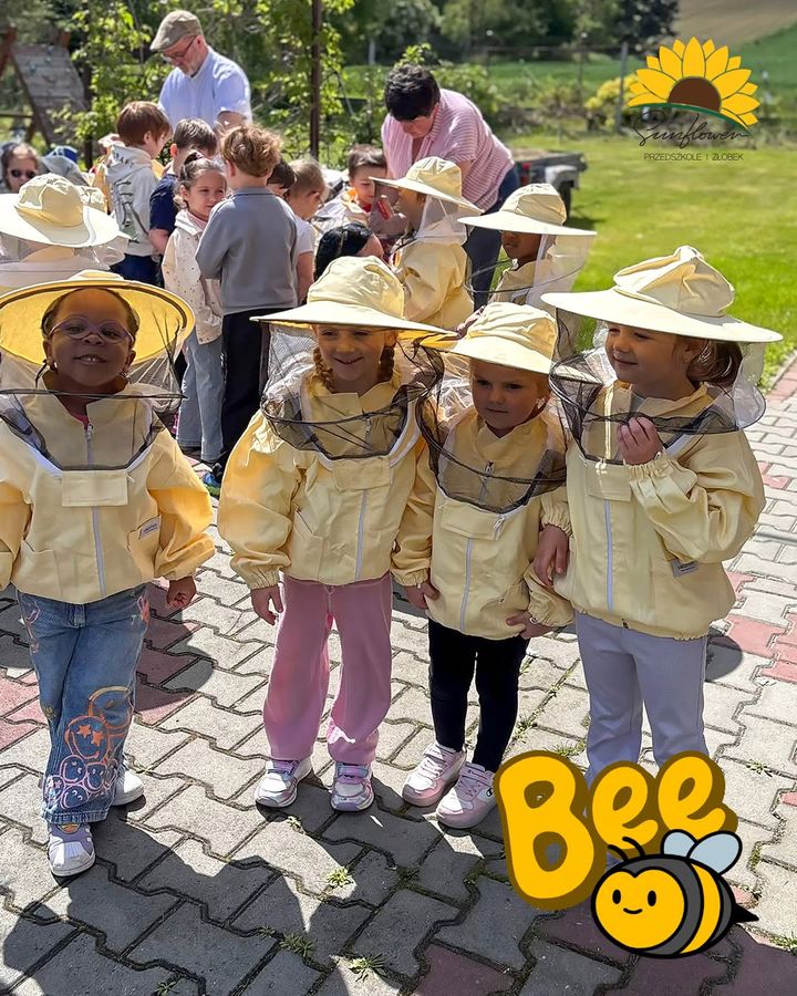 Zajęcia w przedszkolu Sunflower